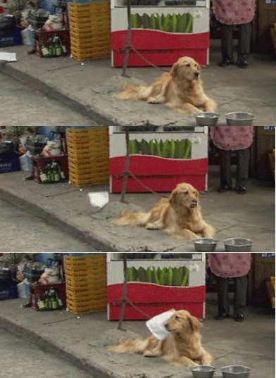 search_img