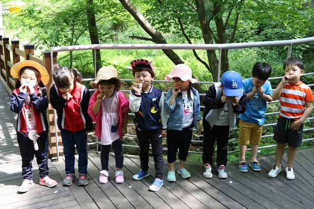 국립횡성숲체원 이미지