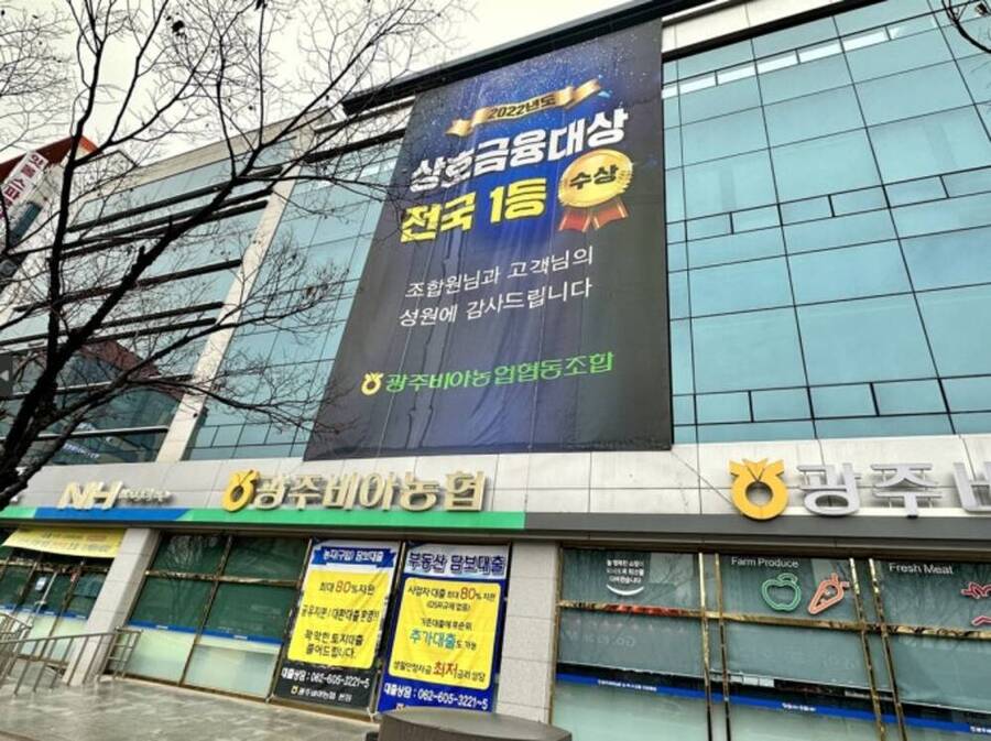 광주 비아농협 조합장 후보자, 면세유 불법 유통·부정수급 의혹 논란