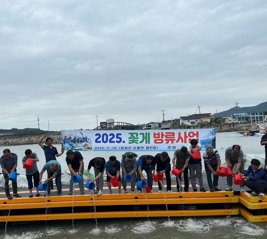 함평군, 어린 꽃게 40만 마리 방류
