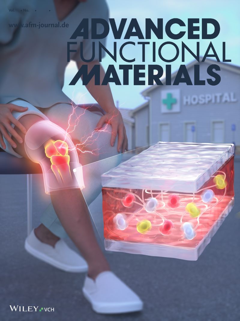한기대 배진우 교수팀, 변형에도 성능 유지되는 투명 웨어러블 히터 개발