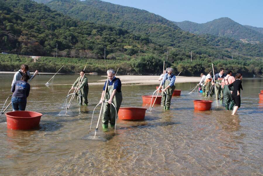 하동군, '섬진강 재첩'산업 발전 로드맵 제시