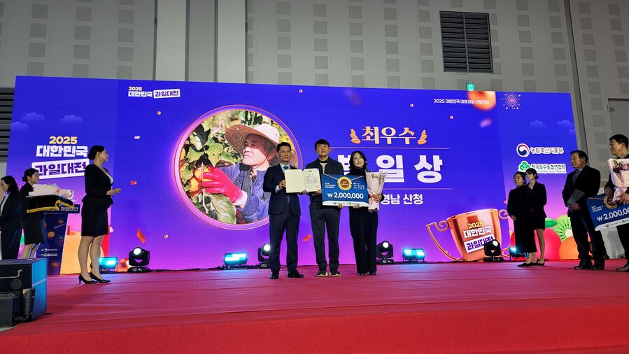 산청 고종시, 10년 연속 '대한민국 대표 과일'에 선정