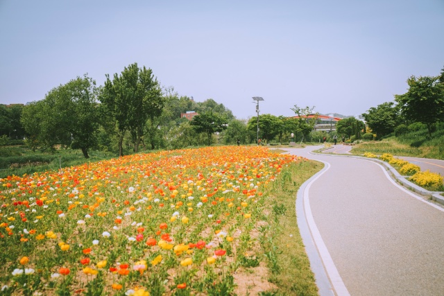 오산시, 소규모 정비로 오산천을 '쉬어가는 공간'으로