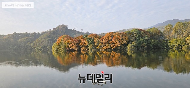 정혜 작가·최성필 PD, ‘반곡지에 사계절을 담다’ 미니다큐 제작
