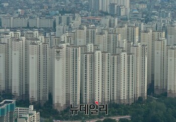 다시 뛰는 '노도강'…신생아 특례·강북 대개조 '겹호재'