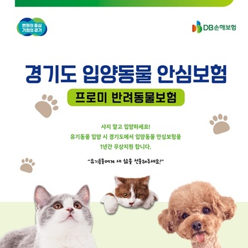DB손보, 경기도 '무한돌봄 입양동물 안심보험' 사업자 선정