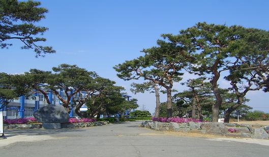 ▲ 담장을 허문 예산군 봉산면 덕산중고 전경.    ⓒ 뉴데일리
