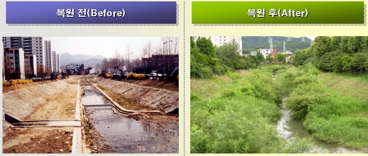 ▲ 양재천(과천 구간) : 콘크리트로 직강화된 하천에 콘크리트를 철거하고 사행화 및 식생을 도입하여 자연스러운 하천으로 복원한 모습.&nbsp;&nbsp; ⓒ 뉴데일리