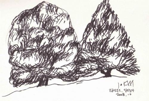 ▲ 링컨우드 일리노이 ⓒ 뉴데일리