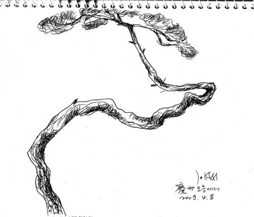 ▲ 경주 오릉 ⓒ 뉴데일리