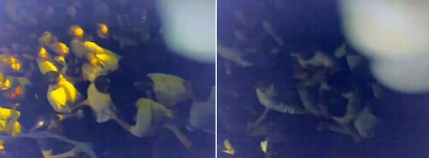 ▲ 인기 방송인과 톱모델이 서울 강남의 한 클럽에서 난투극을 벌인 장면이 일반인에 의해 촬영돼 인터넷 상으로 급속히 확산되고 있다(사진은 동영상 캡쳐).