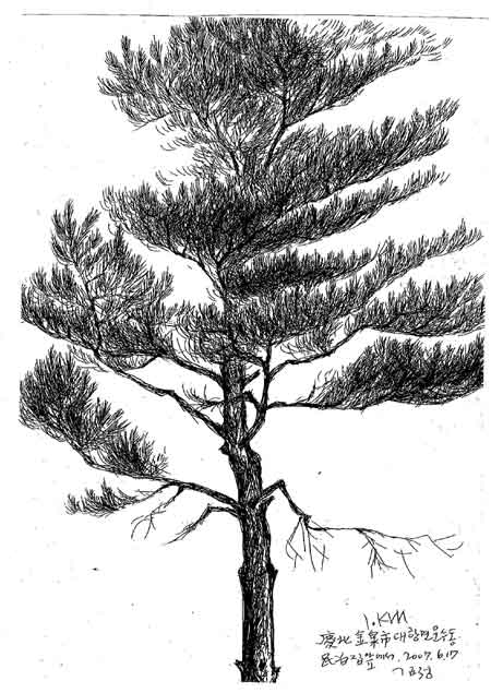 ▲ 영천아리랑3 ⓒ 뉴데일리