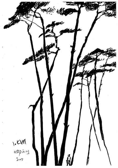 ▲ 영천아리랑3 ⓒ 뉴데일리