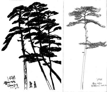 ▲ 영천아리랑3 ⓒ 뉴데일리