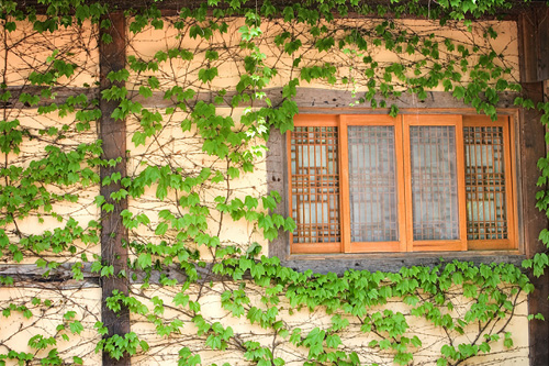 ▲ 사진 아름다움(美)부문에 우수작으로 당선된 신봉철씨의 '손님' ⓒ 뉴데일리<=녹색성장위원회 제공>