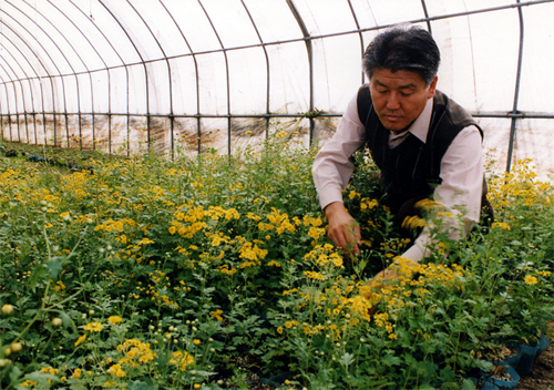▲ 장형태 대한종묘조경 대표ⓒ 뉴데일리 <=노동부 제공>