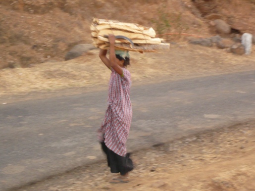 ▲ 하루 세끼, 가족들의 식사를 위해 인도 여성들은 안전과 정절을 담보로 식사 준비에 나선다. 일주일 2번, 하루 평균 6시간씩 나무 땔감을 구하러 다니며 강간과 상해, 불법 단속의 위험에 시달리는 인도 여성들.   ⓒ EBS 다큐프라임