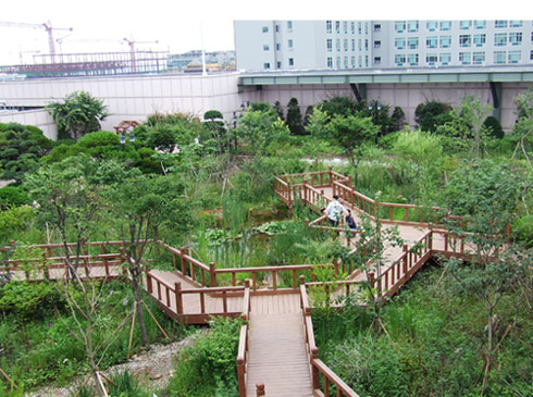 ▲ 롯데백화점 일산점 옥상의 생태공원. 2007년 10월 일본 환경성 주최 국제 옥상생태공원 컨테스트에서 해외 백화점으로는 최초로 상을 받았다.