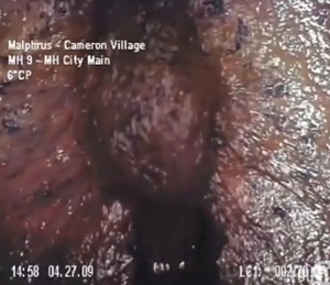 ▲ 지난 달 30일 유튜브에 올라온 미국 노스캐롤라이나 하수구에서 촬영된 괴생명체. 네티즌들로부터 '하수구괴물'로 불리고 있다.