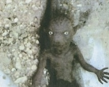 ▲ '초소형인간'으로 알려진 사진. 일부 네티즌은 이 생물체가 '아이아이원숭이'라는 주장을 하기도.