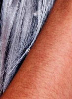 ▲ 지난 21일 소속사가 공개한 카라의 사진 중 한승연 팔에 털같은 무늬가 생긴 것을 볼 수 있다. 