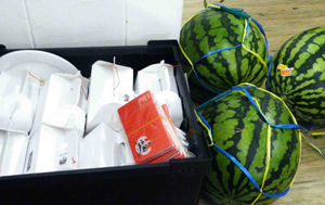 ▲ 27일 팬들이 가져온 선물 ⓒ 뉴데일리