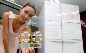 ▲ LG전자가 29일부터 세계 최저 소비전력을 구현한 디오스 냉장고를 판매한다.이 제품의 소비전력은 32.9킬로 와트(kWh/월)로, 타 제품 대비 최대 연간 이산화탄소 배출량을 61kg 줄여주는 친환경 제품이다. &nbsp;ⓒ 뉴데일리