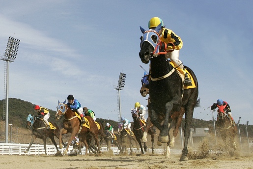 ▲ 승마와 경마 등을 결합한 복합레저사업을 통해 녹색성장의 새로운 틀을 제시할 것으로 기대되는 한국마사회. 사진은 힘차게 경기를 펼치고 있는 경주마들.  ⓒ 뉴데일리