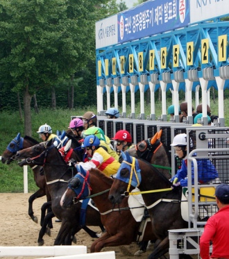 ▲ 지난 17일 오후 과천 경마공원에서 열린 국산발주기 시연행사에서 경주마들이 힘차게 뛰쳐나오고 있다.  ⓒ 연합뉴스