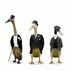 ▲                              3 classes 카툰 