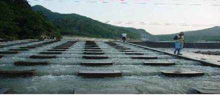 ▲ 친환경 물고기 길 ⓒ 뉴데일리