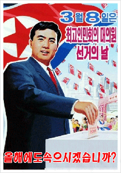 ▲ 투표 ⓒ 뉴데일리