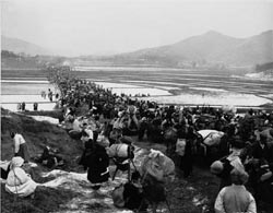 ▲ 남으로 남으로 길게 이어진 피난민 행렬. ⓒ 뉴데일리