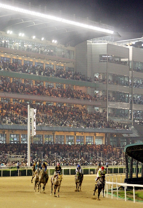 ▲ 한 여름 밤의 축제 '야간경마' 경기의 한 장면.  ⓒ 뉴데일리