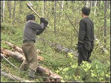 ▲ 북한 벌목공들 ⓒ 뉴데일리