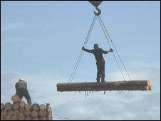 ▲ 위험천만인 나무 옮기기. ⓒ 뉴데일리