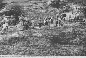 ▲ 1950년대의 농촌 풍경. 장에 가는 길. ⓒ 뉴데일리