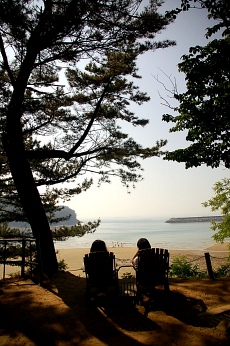 ▲ 천리포수목원 &nbsp;ⓒ 뉴데일리