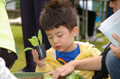 ▲ 서울시와 서울그린트러스트가 성수동 서울숲에서 개최한 '상자텃밭 가꾸기'에 참여한 한 어린이가 신기한 듯 바라보고 있다. ⓒ 뉴데일리