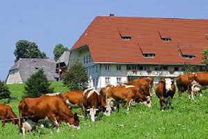 ▲ 독일의 '바이오에너지마을' ⓒ 뉴데일리