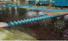 ▲ 임진강 군남 홍수조절지 수리모형실험 모습. ⓒ 뉴데일리