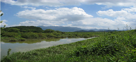 ▲ 완벽하게 복원된 우포늪. ⓒ 뉴데일리
