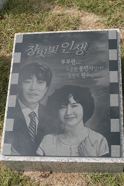 ▲ 갑산공원 측은 '유골함 도난 사건' 이후 최진실의 납골묘를 원기둥 형태로 교체하고 별모양의 조형물과 함께 묘역 주위에 고인이 생전 출연했던 영화 포스터를 새긴 평판을 전시하는 등 고인을 추억할 수 있는 다양한 소품들로 장식해 눈길을 끌었다. 사진은 고인이 출연했던 드라마 '장밋빛 인생' 포스터. ⓒ 뉴데일리