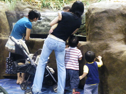 ▲ 아이들을 데리고 '구루메우스&rsquo;를 찾은 일본 주부들. ⓒ 뉴데일리