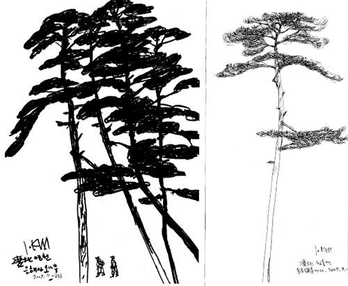 ▲ 봉화아리랑 2001년 ⓒ 뉴데일리