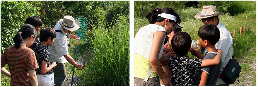 ▲ 생태학습 사진 ⓒ 서울시 한강사업본부