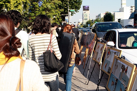 ▲ 이날 길거리에 전시된 다양한 태극기를 시민들이 둘러보고 있다. ⓒ 뉴데일리