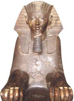 ▲ 하트셉수트 스핑크스(이집트 박물관). 