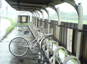 ▲ 대학 캠퍼스에 녹색 자전거가 달린다. ⓒ 뉴데일리